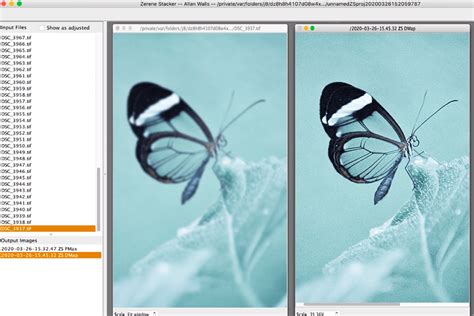 7+ Best Free Focus Stacking Software [2024 List] .